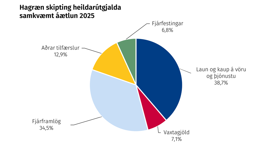 Hagræn skipting heildarútgjalda samkvæmt áætlun 2025